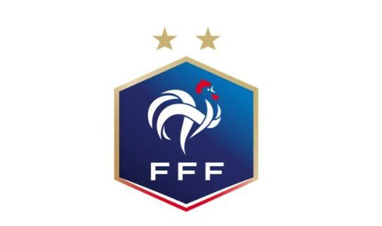 法国足协官方：除法甲和法乙外其他所有级别的足球联赛本赛季都将取消