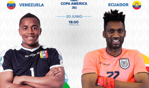 美洲杯-厄瓜多尔2-2战平委内瑞拉 埃尔南德斯补时头球绝平