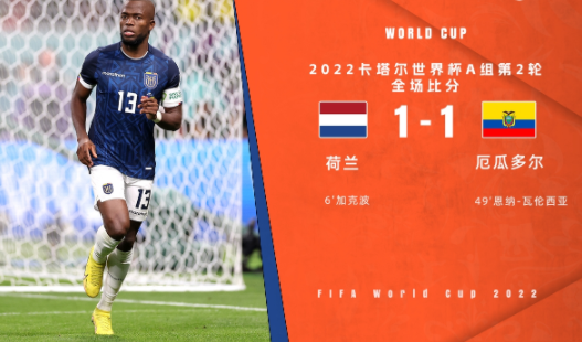 世界杯-荷兰1-1战平厄瓜多尔送卡塔尔出局 瓦伦西亚2场3球